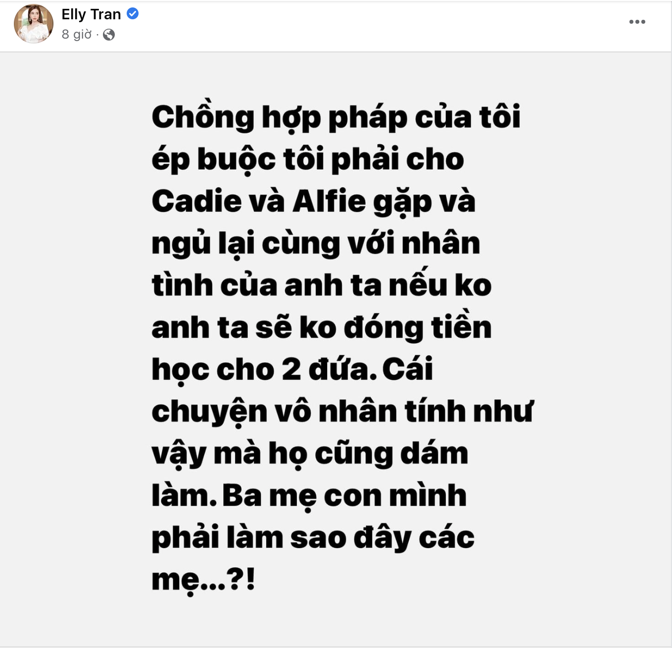 Dòng trạng thái trên tài khoản Facebook của Elly Trần