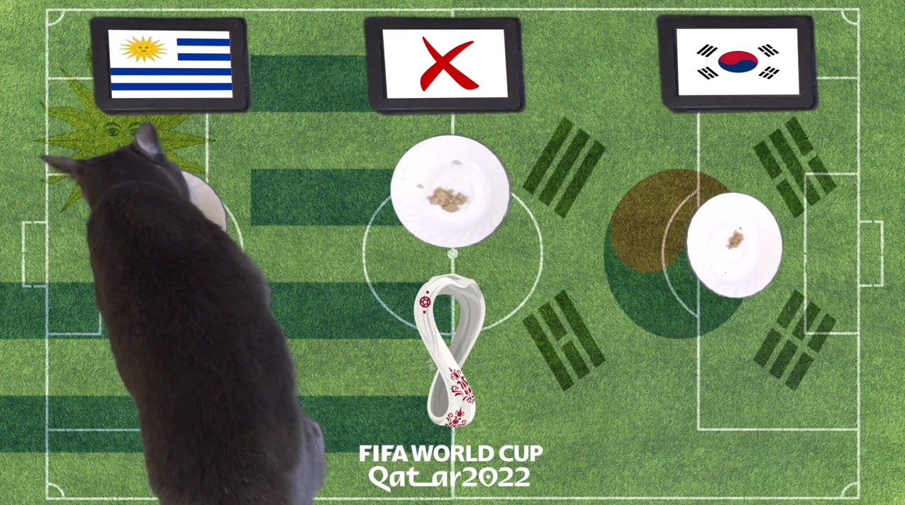 Đội tuyển uruguay được mèo tiên tri dự đoán sẽ giành chiến thắng