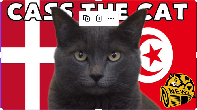 Hãy cùng mèo tiên tri dự đoán kết quả Đan Mạch vs Tunisia World Cup 2022