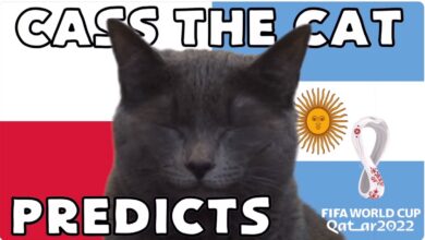 Hãy cùng mèo tiên gọi tên đội Ba Lan hay Argentina World Cup 2022 