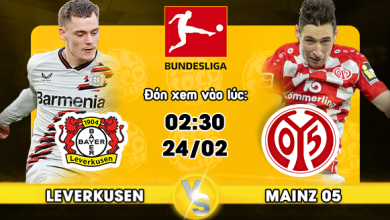 Link xem trực tiếp Bayer Leverkusen vs FSV Mainz 05